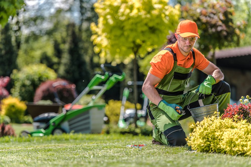 Creating a Lawn Care Service Schedule